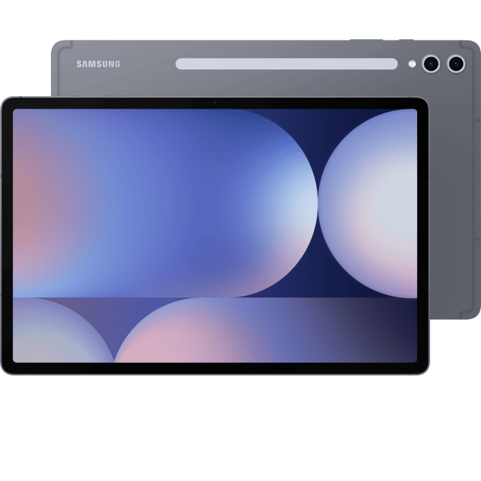 Samsung Galaxy Tab S10 plus (Moonstone Gray, 12GB, 256GB, 5G)