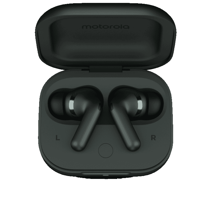 Motorola Motorola Buds Plus (Forest Grey)