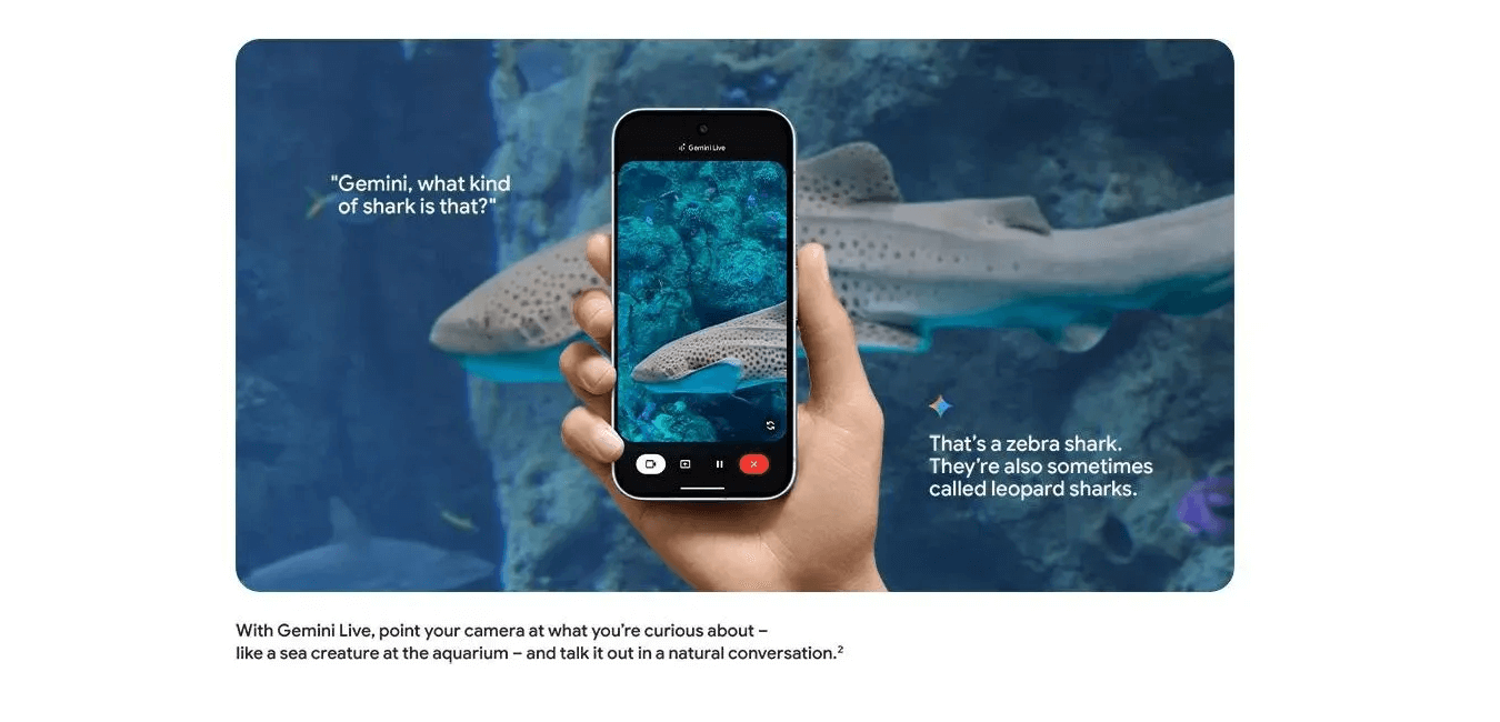 Pixel 10 Pro 5G (Obsidian, 256GB)
