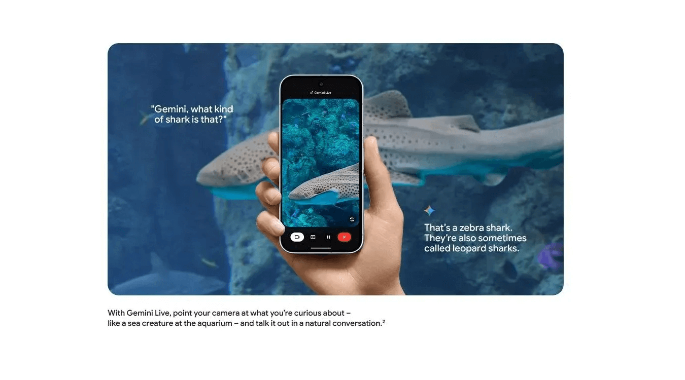 Pixel 10 Pro XL 5G (Obsidian, 256GB)